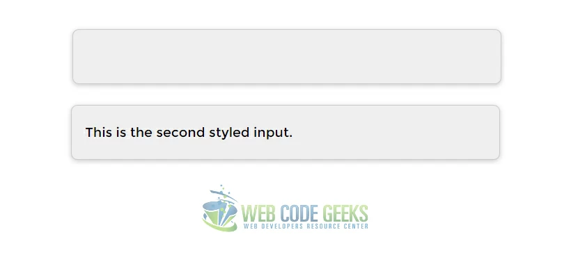 Another Styling for the Text Input
