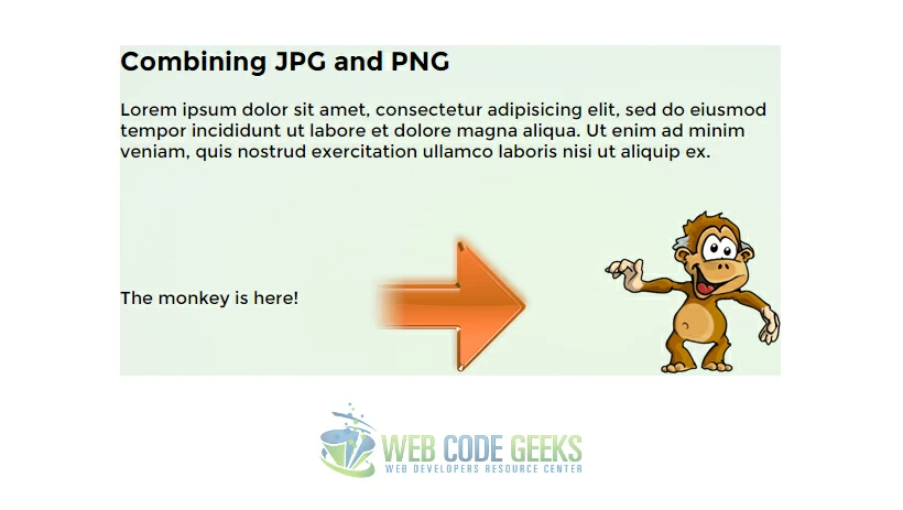 Combining Image Formats for Multiple Backgrounds