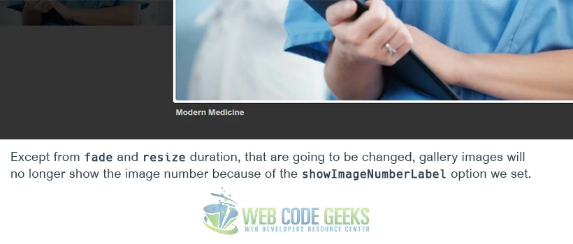 Options applied to the plugin - Example 1