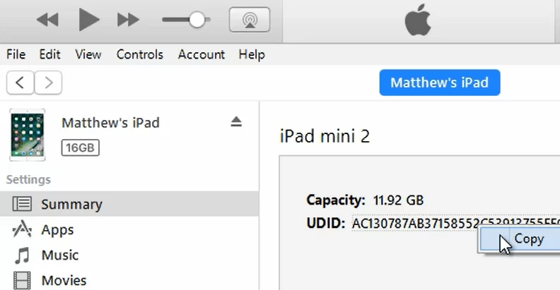 cross platform development register iOS UDID value