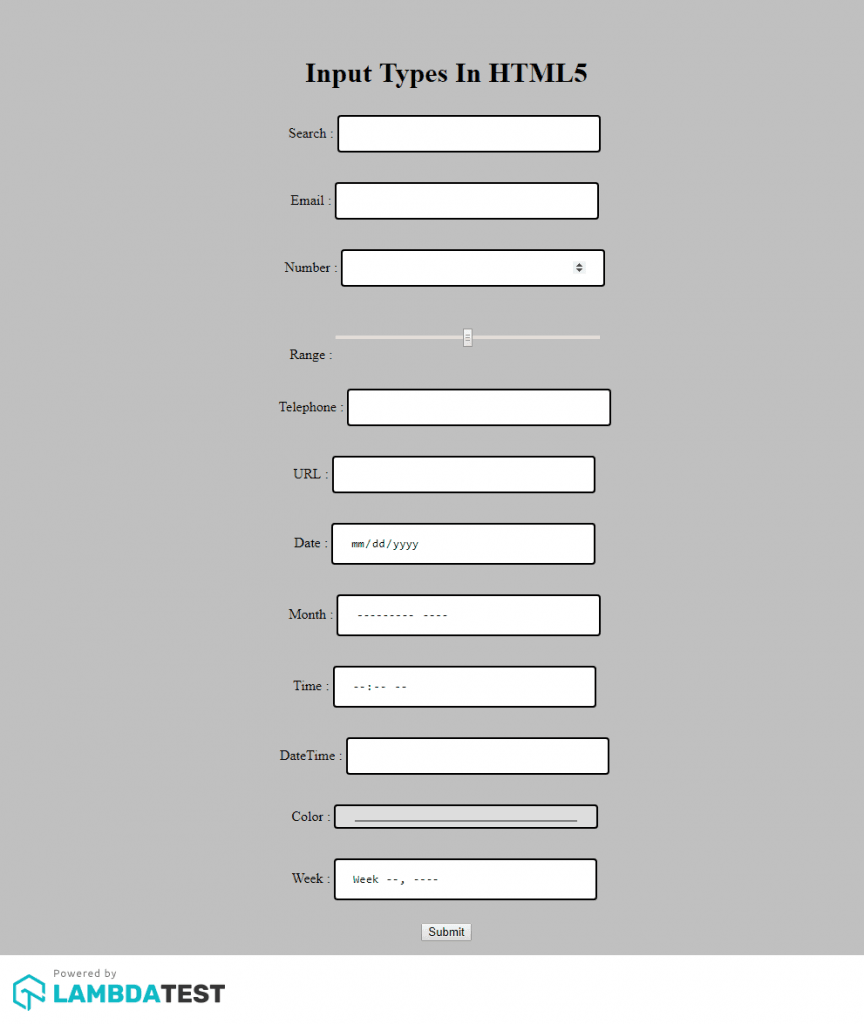 HTML5 Input Fields