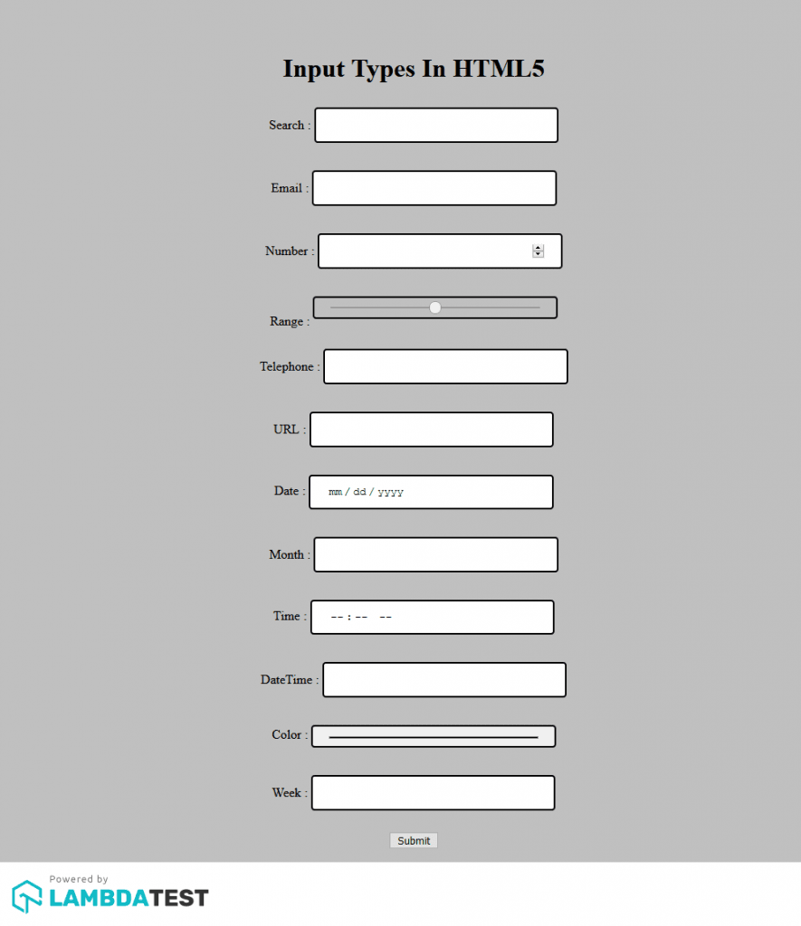 HTML5 Input Fields